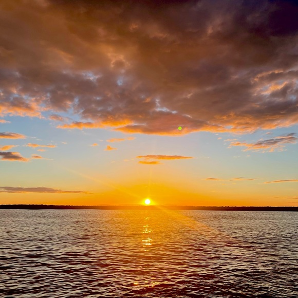 Meet your Posher, Elle - Picture 5 of 8